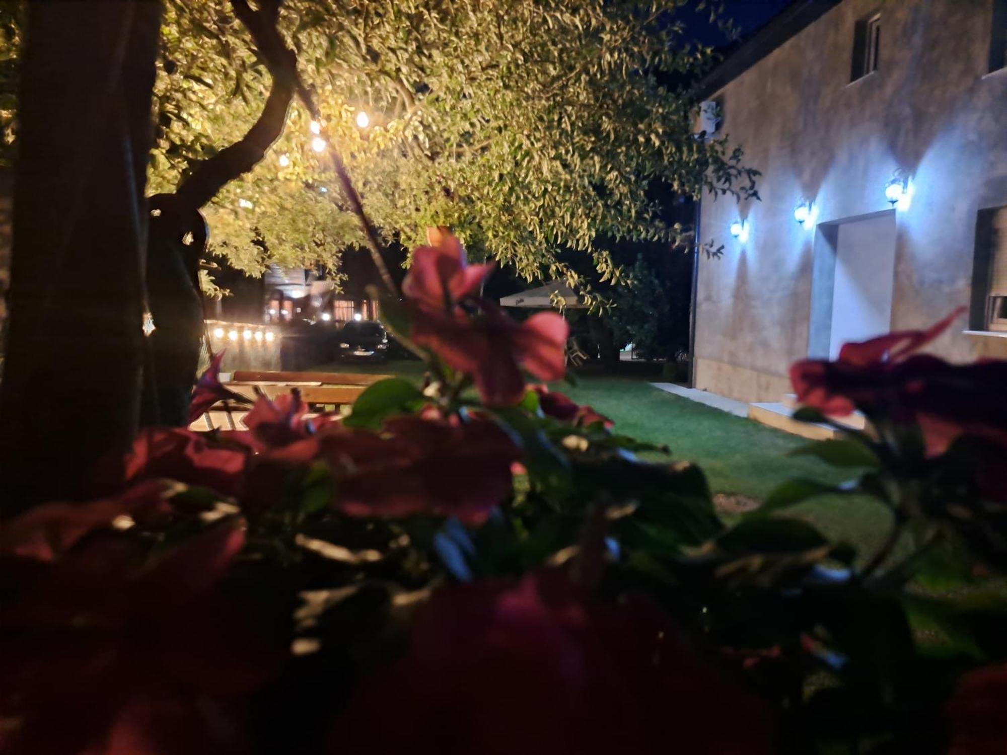 Rooms Lida & Friendly Home Plav Exterior photo